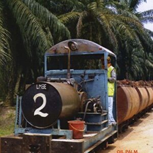 oil_palm_ml.jpg Oil Palm Plantation Railways in Malaysia NGRS 215